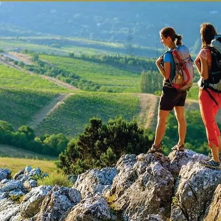 Le Freginat - Mauzac