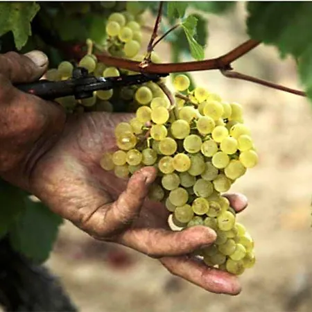 Le Freginat - Mauzac 3*